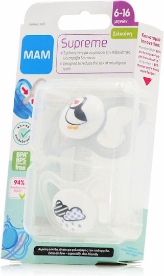 Mam Orthodontic Pacifiers Silicone Night with Case Penguin - Clouds - Gray/White for 6-16 months 2pcs
