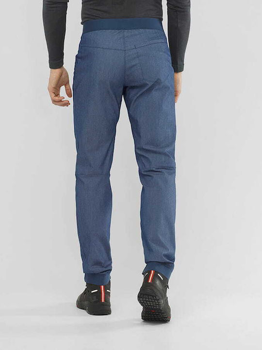 Salomon Wayfarer Alpine Trousers Blue
