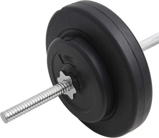 vidaXL Ίσια Μπάρα Φ25mm Σετ με Βάρη 10kg Μήκους 165cm με Βιδωτά Κολάρα