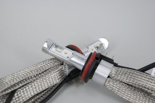 Heleco Lamps Car H1 Canbus LED 6000K Cold White 12-24V 60W 2pcs