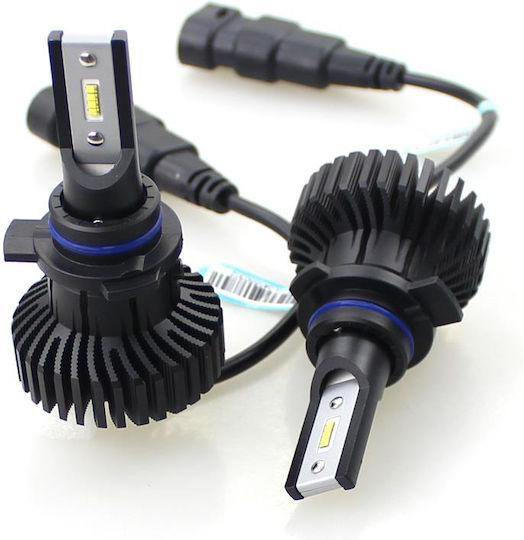 Heleco Lamps Car H1 Canbus LED 6500K Cold White 12-24V 44W 2pcs