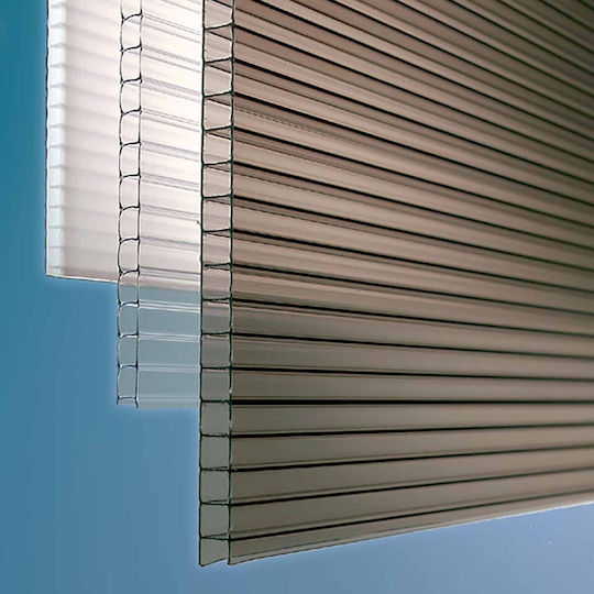 Showood Foaie din policarbonat L3xW2.1m cu Grosime 4mm 210996-3