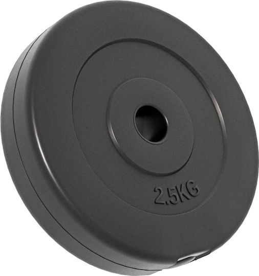 vidaXL Set of Plates Rubber 6pcs Total Weight 30kg Φ25mm