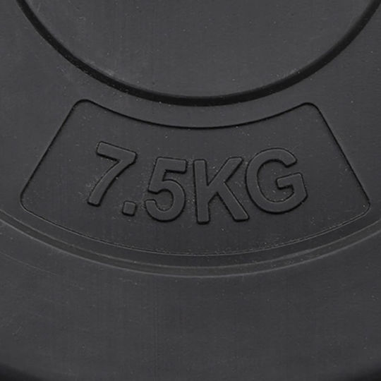 vidaXL Set of Plates Rubber 6pcs Total Weight 30kg Φ25mm