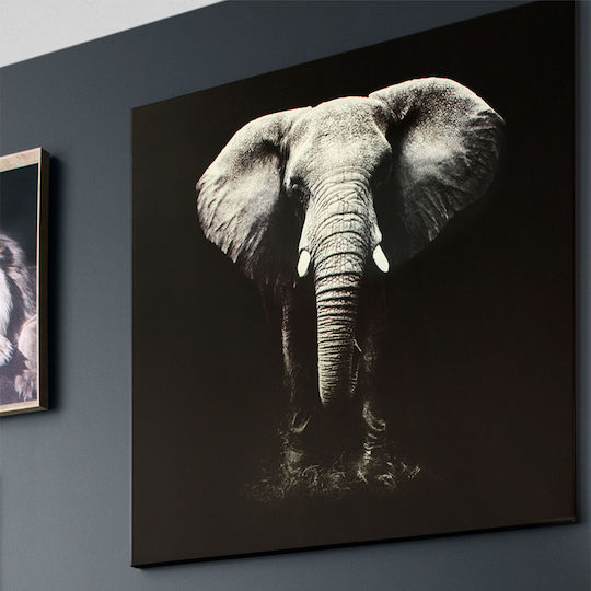 Elephant Υφασμάτινος 100x100 cm
