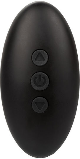 Calexotics Her Royal Gurtzeug mit Dildo 16.5cm und Vibration in Schwarz Farbe