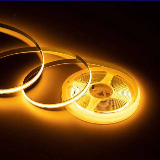 Vivalux Bandă LED 24V Alb Rece Lumină 5m Tip COB