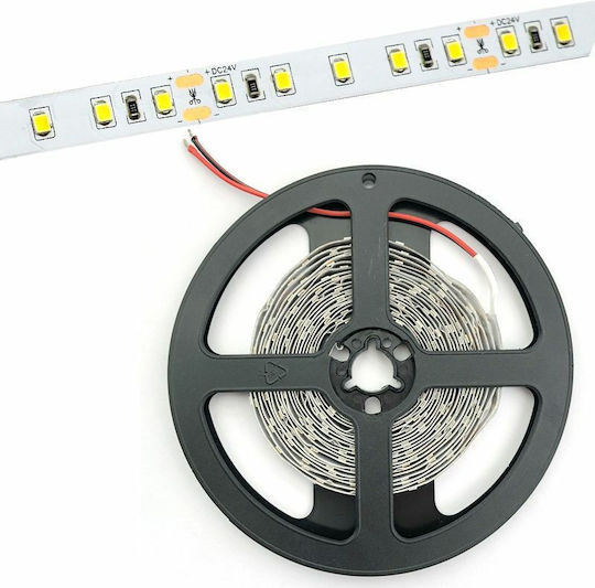 Avide Waterproof LED Strip ABLS24V2835-120NW65 24V Natural White Light 5m Type SMD2835