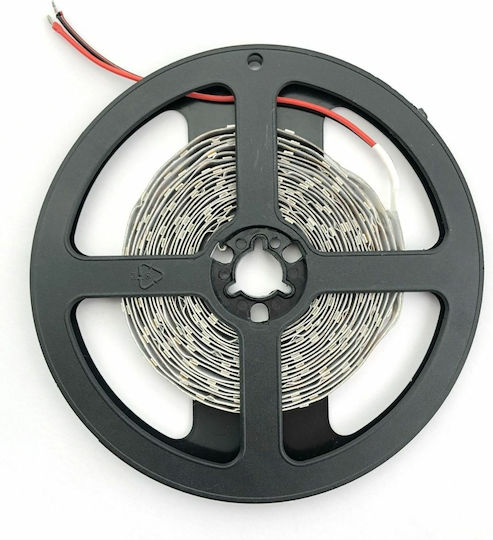 Avide Waterproof LED Strip ABLS24V2835-120NW65 24V Natural White Light 5m Type SMD2835