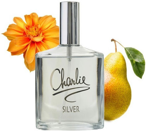 Revlon Charlie Silver Eau de Toilette 100ml