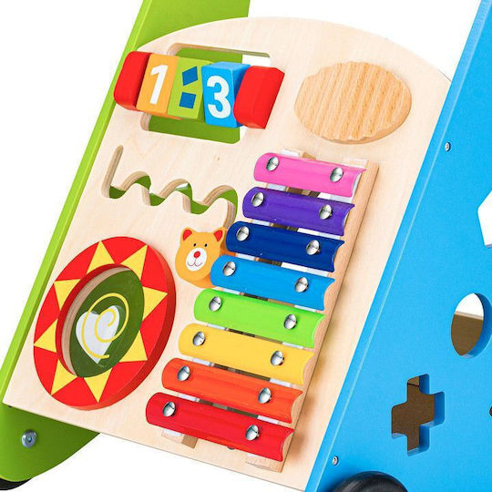 Ecotoys για 24+ μηνών Πολύχρωμη