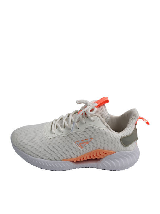 Anatomical Sneakers Gray