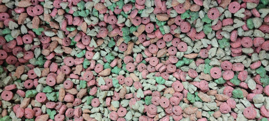 Jump Cat Mix Ξηρά Τροφή Γάτας 2kg