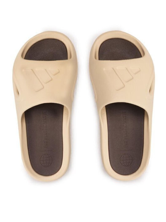 Adicane Men's Slides Beige