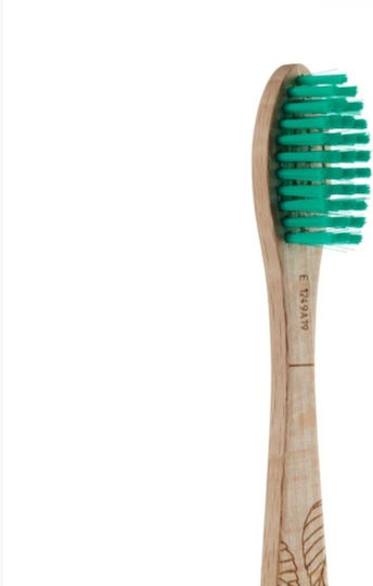 Georganics Beechwood Четка за зъби Medium Beige / Green