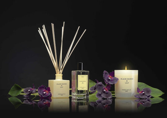 Cereria Molla Aromatic Candle in Jar with Black Orchid & Lily Scent 230g