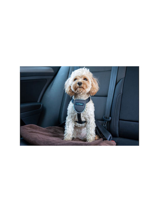 Company of Animals Σαμαράκι Σκύλου Γιλέκο CarSafe Μαύρο X-Small S6103613