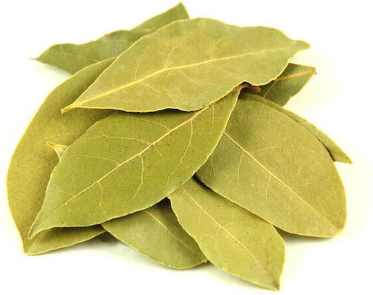 MPACHARADIKO Laurel Chios leaves 103744-200gr 200gr