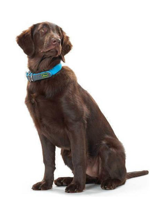 Hunter Convenience Dog Collar Medium 20mm x 30 - 40cm (Various Colors)