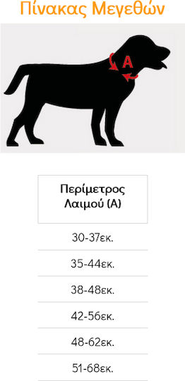 Pet Interest Образователен XLarge 48-62см