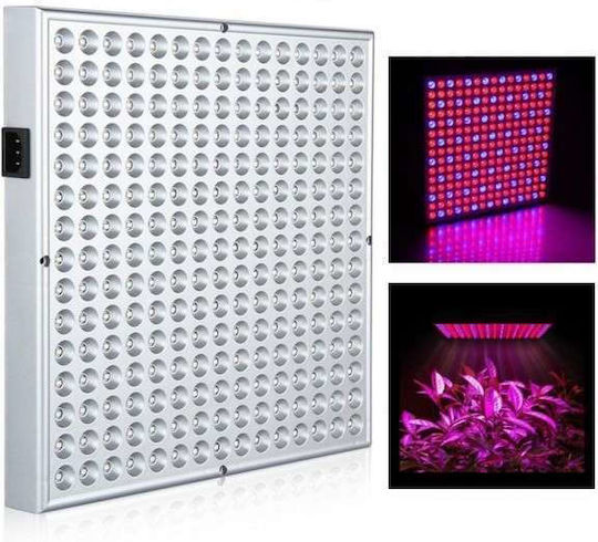 Mast Pendant Grow Light with 225 LED and Power 45W L31xW31xH9.8cm.