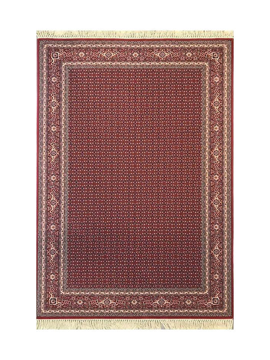 Ragolle Puccini Rug Rectangular Wool with Fringes Burgundy