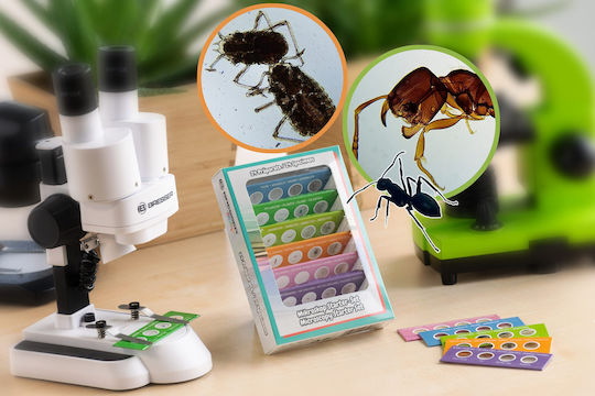 Bresser Junior Experiment Microscopy Starter Set Μικροσκόπιο για 8+ Ετών (EN)