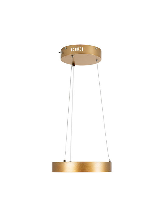 GloboStar Nemesis Ceiling Light Gold LED with Warm to Cool White Light 31x31cm
