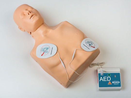 Gima Interaktives Training & CPR Medizinisches Trainingsmannequin