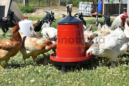 Zootechnist Alimentator pentru Găini și Păsări cu Capacitate 12kg