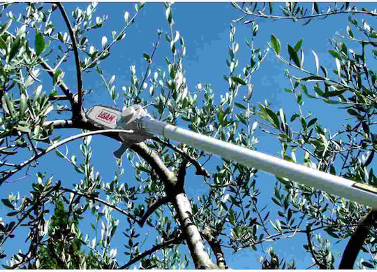 Lisam Sky Air Chainsaw with Stick 1.5m & Lama 8" 9026/1