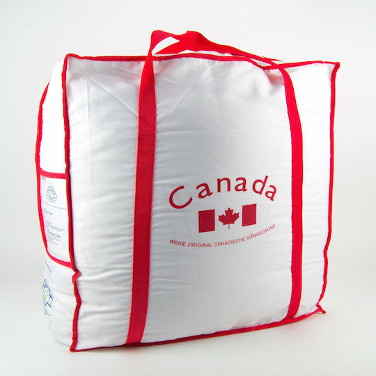 Daunex Canadese Daunex Canadese