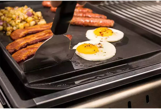 Broil King Cleaning Brush
