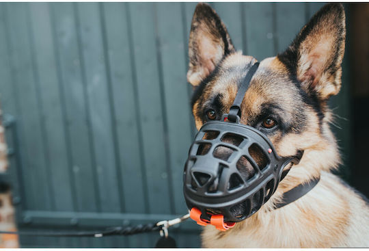 Hunter Albury Muzzle 6 Dog Muzzle