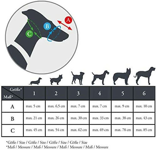 Hunter Albury Muzzle 6 Dog Muzzle