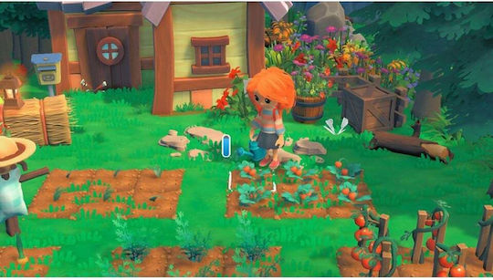 Hokko Life Switch Game