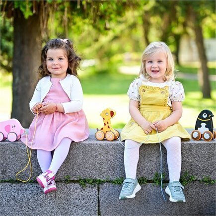 Lorelli Pull-Along Toy Piglet for 12++ Months