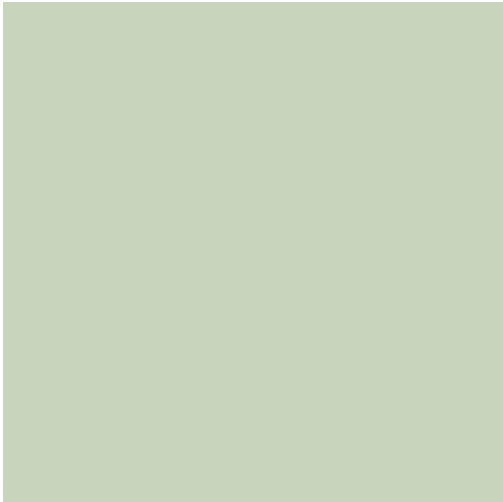 Pentart Dekor Paint Soft Chalk Paint Colour Lichen Green 100ml 21478