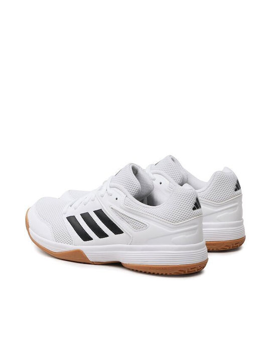 Speedcourt Sport Shoes Volleyball White