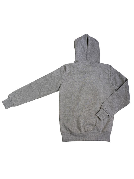 Paco & Co Men's Sweatshirt with Hood Gray