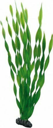 Hobby Aquaristik Vallisneria Διακοσμητικό Τεχνητό Φυτό Ενυδρείου