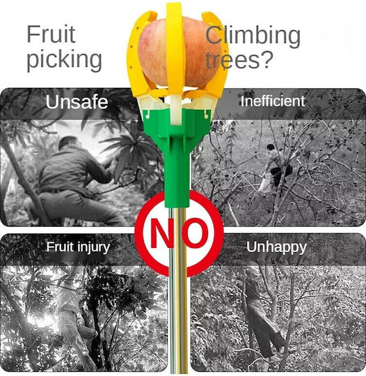 Fruit Collector 170cm