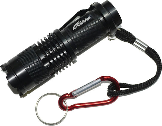 Owner Flashlight LED UV Waterproof FT-81