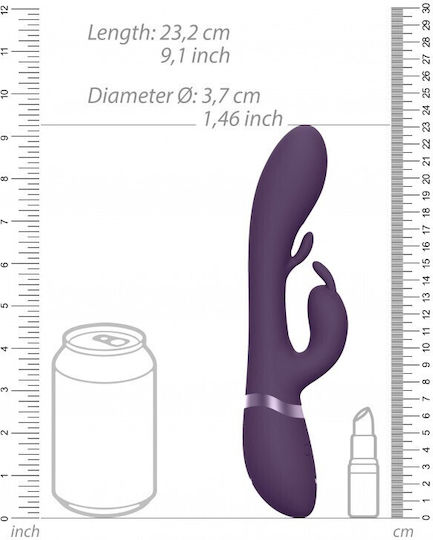 Vive Amoris Δονητής Rabbit 23cm Purple