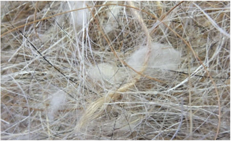 Sisal Fibre Υλικό Φωλιάς Πτηνών