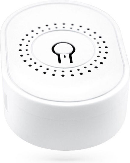 Smart Switch 2 Καναλιών Wi-Fi 16A