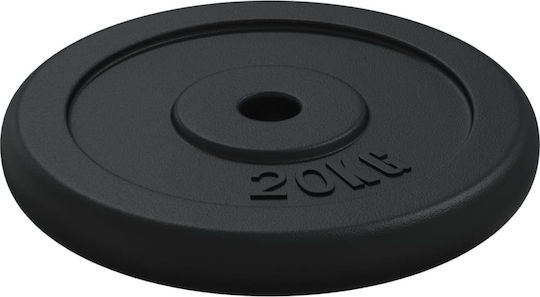vidaXL Δίσκος Μεταλλικός 1 x 20kg Φ30mm