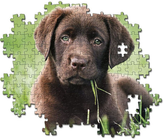 Chocolate Puppy Puzzle 2D 500pcs 35072