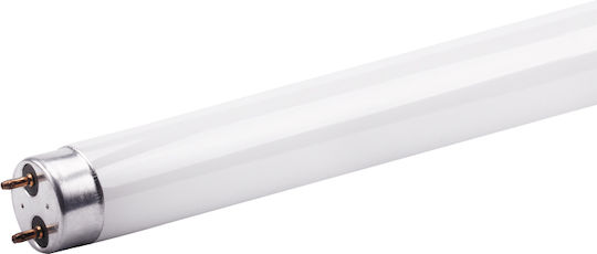 Diolamp LED Bulb 9W Fluorescent Type 60cm for Socket G13 and Shape T8 Natural White 830lm