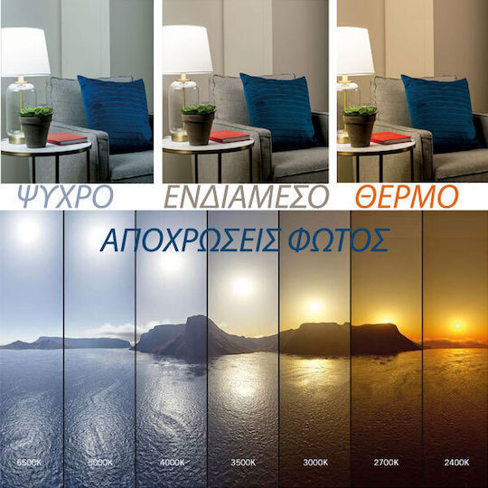 Eurolamp LED Bulb 6.5W 74mm for Socket E27 and Shape G45 Natural White 806lm